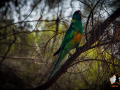 20160418-2ADU-009