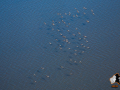 20160405-2ADU-086
