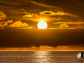 20160408-2ADU-113