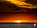20160408-2ADU-114