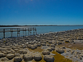 stromatolithen-in-mandurah_25231414983_o