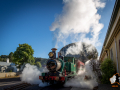 west-coast-wilderness-railway-queenstown_24934897450_o